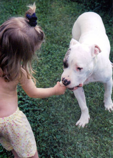 gallery/Litters/JJ-Angel/br-shiner_4.jpg