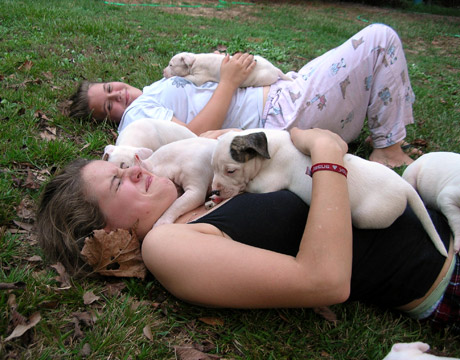 gallery/Litters/Rebel-Cayenne/6wks-DSCN3630.jpg
