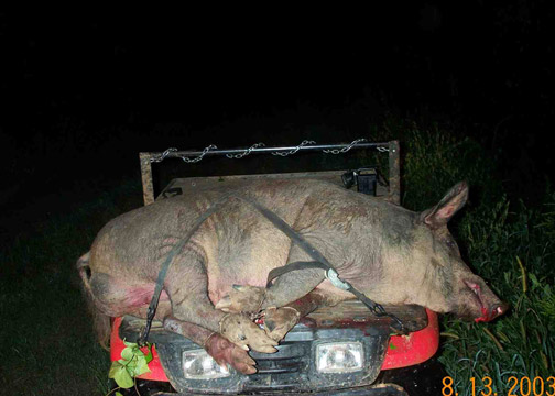 gallery/Misc/hunt-081303_2.jpg