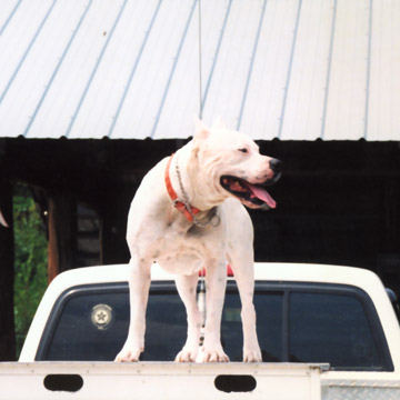 gallery/Others/pwk-george-3.jpg