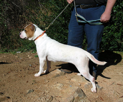 gallery/Ruby/rubymae-14.jpg