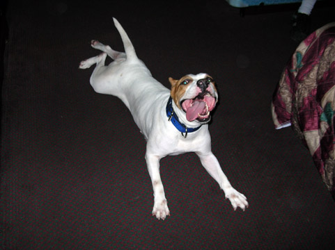 gallery/Ruby/rubymae-23.jpg