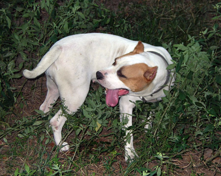 gallery/Ruby/rubymae-29.jpg