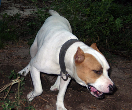 gallery/Ruby/rubymae-33.jpg