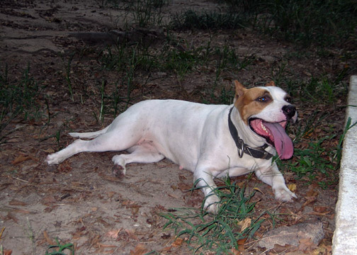 gallery/Ruby/rubymae-34.jpg