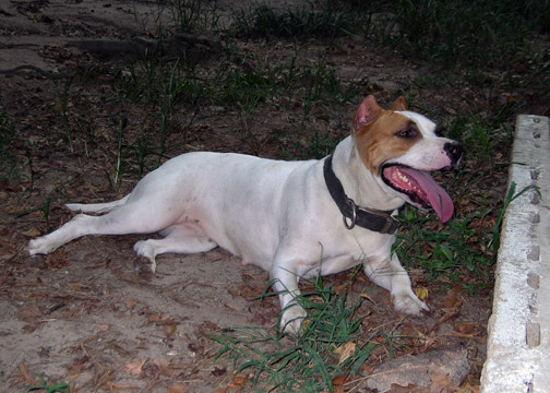 gallery/Ruby/rubymae-35.jpg