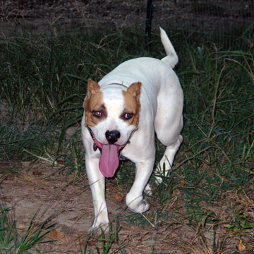 gallery/Ruby/rubymae-37.jpg