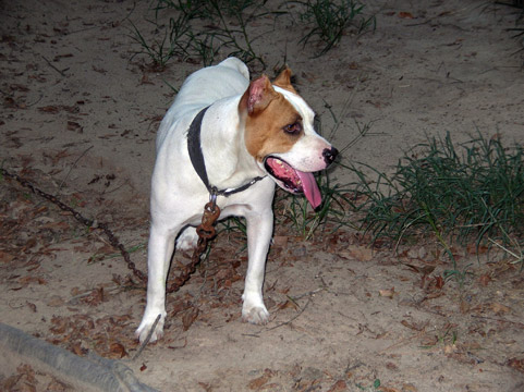 gallery/Ruby/rubymae-39.jpg