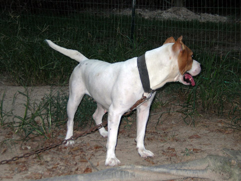 gallery/Ruby/rubymae-41.jpg