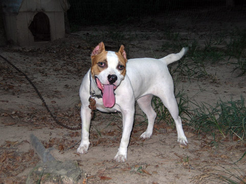 gallery/Ruby/rubymae-42.jpg