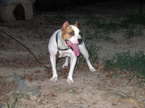 gallery/Ruby/rubymae-43.jpg