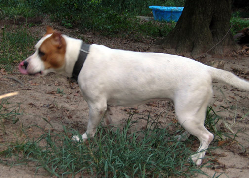 gallery/Ruby/rubymae-44.jpg