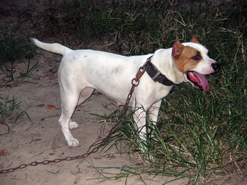 gallery/Ruby/rubymae-46.jpg