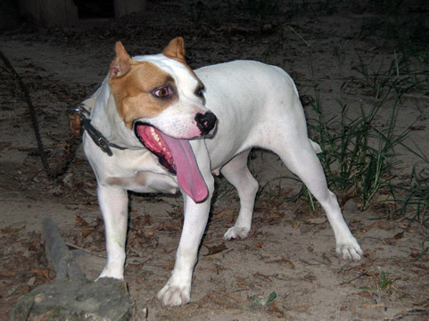 gallery/Ruby/rubymae-49.jpg