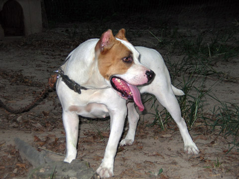 gallery/Ruby/rubymae-52.jpg